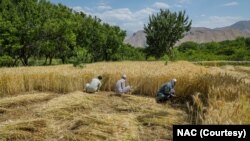 ادارۀ ایالات متحده برای انکشاف بین‌المللی گفته است که افغانستان یکی از آسیب‌پذیرترین کشورها در برابر تغییرات اقلیمی است.