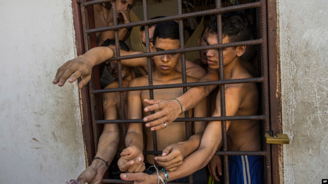 Venezuela Undone - Piracy
