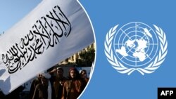 رییس یوناما گفته است که قانون جدید حکومت طالبان، بیانگر محدودیت‌های قابل توجه بر جمعیت افغانستان با مکانیزم‌های اجرایی خودسرانه و بالقوه شدید است.