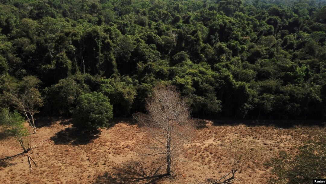 FILE - A view of land in Mato Grosso state, Brazil, July 28, 2021. Brazil's President Luiz Inacio Lula da Silva has made reining in deforestation a priority, seeking to reverse the policies of his predecessor, Jair Bolsonaro. 