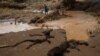Kenya, Tanzania brace for cyclone as rains in East Africa kill more than 350
