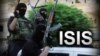 داعش از مسلمانان دعوت کرد به افغانستان بیایند