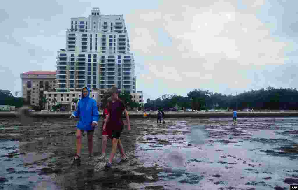 People walk along the mudflats as the tide recedes from Tampa Bay ahead of Hurricane Ian making landfall on Sept. 28, 2022 in Tampa, Florida.