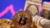 ¿A qué se debe la caída en picada de las criptomonedas?