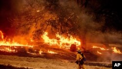 Vatrogasac se bori protiv vatrene stihije požara Glas, u Kalistogu, u kalifornijskom vinogorju, 1. oktobra 2020. (AP Photo/Noah Berger)