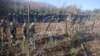 EU Blames Belarus for Migrants Seeking to Cross into Poland