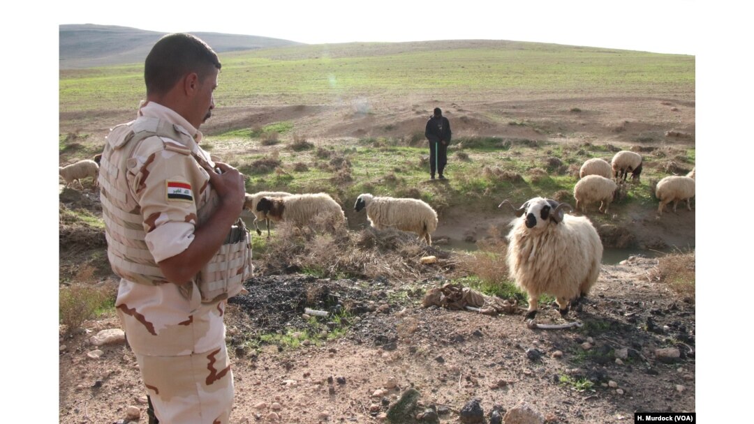The fields surrounding Khafsa are littered with bombs and the bodies of militants killed more than a year and a half ago in Mosul, Iraq, Nov. 26, 2018.