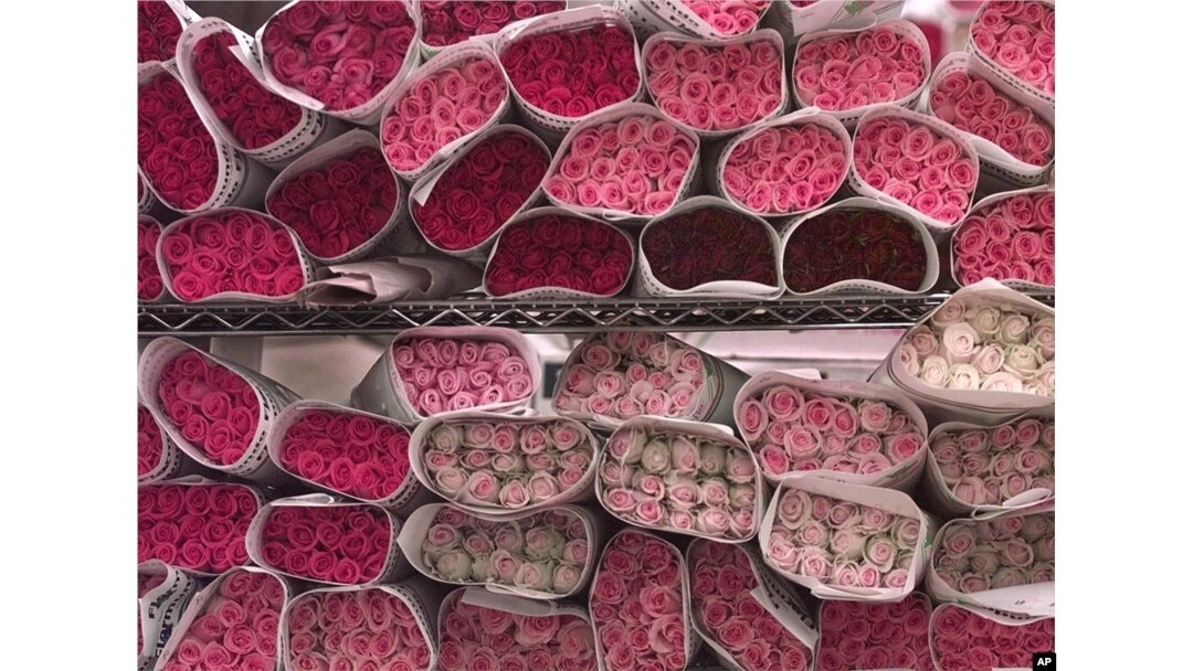 File -- Americans are expected to spend $1.9 billion on flowers for Valentine's Day 2019.