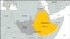 Opposition: More Than 40 Killed in Ethiopia Protests
