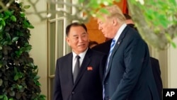 特朗普總統與北韓官員金英哲在白宮橢圓形辦公室會晤。(2018年6月1日)