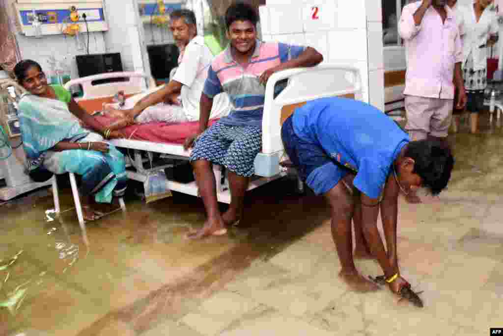 A patient's relative catches a fish inside a waterlogged hospital ward at Nalanda Medical College and Hospital (NMCH) following heavy monsoon rains in Patna in the Indian state of Bihar, July 29, 2018.