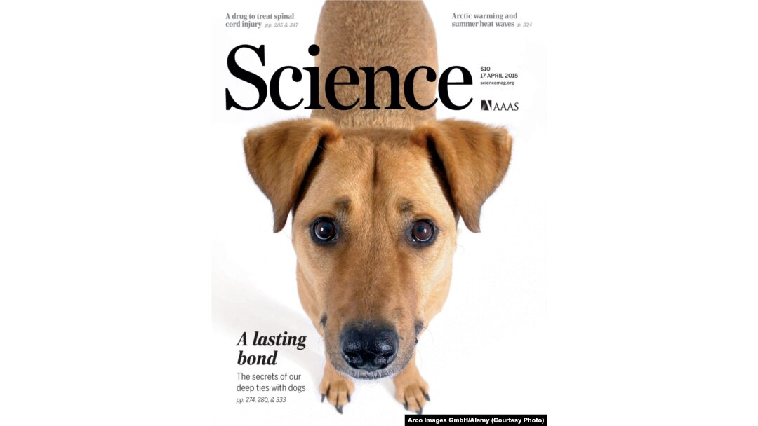 Cover photo, Science