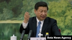 習近平提出的“打老虎，也打蒼蠅”有可能面臨考驗(資料圖片)