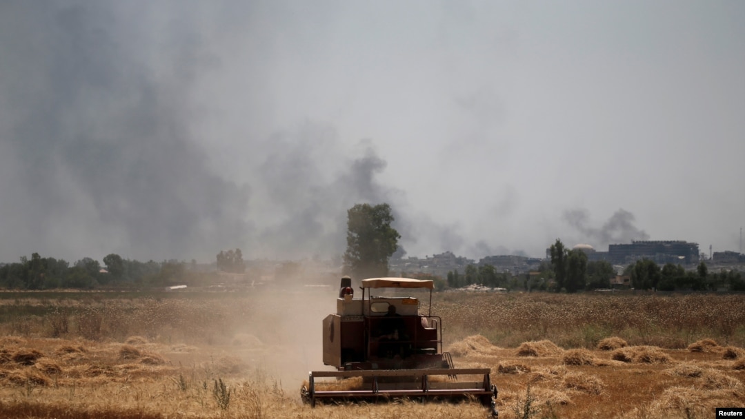 FILE - Smoke billows from the positions of the Islamic State militants as a harvester gathers the wheat crop from a field in western Mosul, Iraq, June 19, 2017.