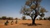 Burkina Faso Plagued by Terror Attacks, Rights Allegations