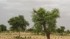 Innovative African Farmers Find Going Green More Fruitful