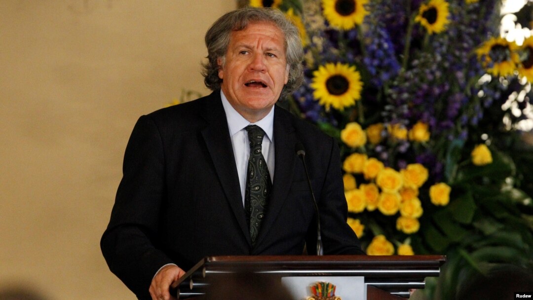 FILE - Organization of American States (OAS) Secretary-General Luis Almagro addresses the audience during an official visit to Honduras, in Tegucigalpa, Jan. 17, 2017.