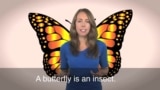 English in a Minute: Social Butterfly