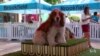 Art Exhibition For Dogs Opens In Los Angeles