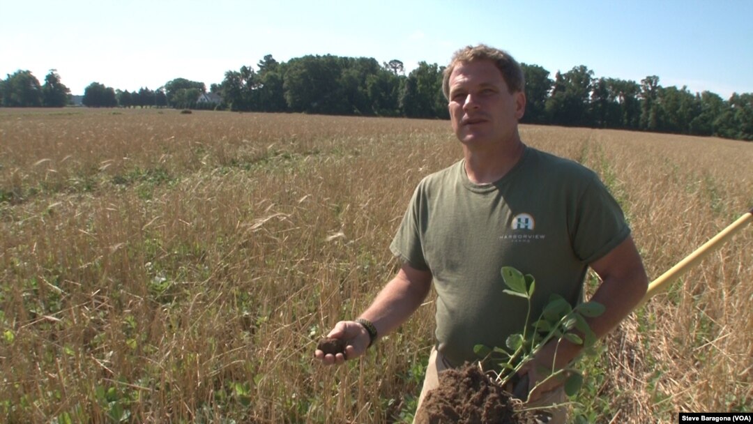Trey Hill of Maryland searches his soil for earthworms, a sign of a healthy underground ecosystem.