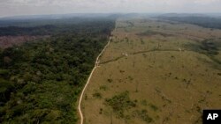 FILE - A photo of a deforested area near Novo Progresso in Brazil's northern state of Para, Sept. 15, 2009.