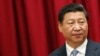 专家：习近平反腐目标—打垮太上皇架构