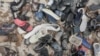 Migrants Being Helped to Leave Libya 