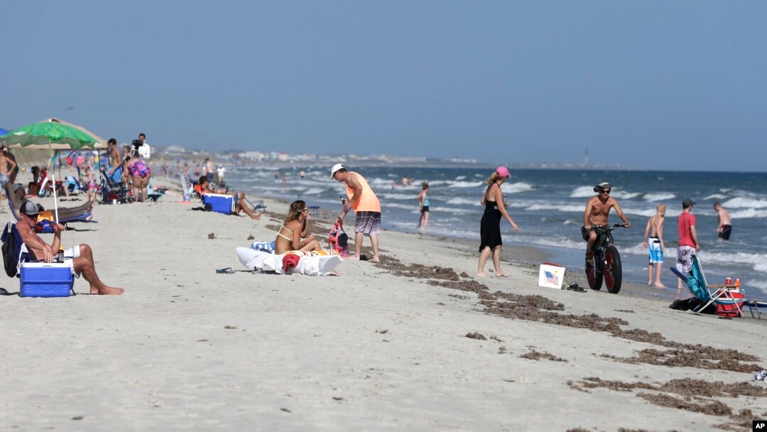 FILE - Vacationers relax on the beach and in the surf at Oak Island, N.C. — an area where two shark attacks have occurred in the last two weeks.