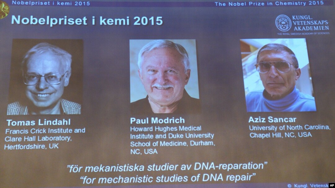 A view of the screen showing the winners of the 2015 Nobel Prize for Chemistry, during a press conference, in Stockholm, Oct. 7, 2015.