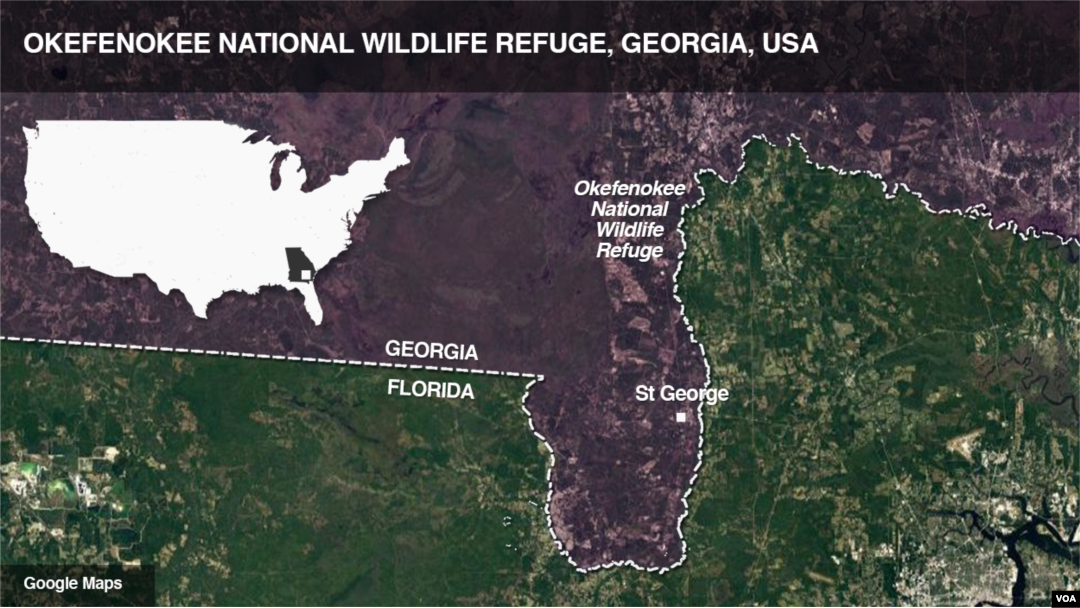 Okefenokee National Wildlife Refuge, Georgia, USA