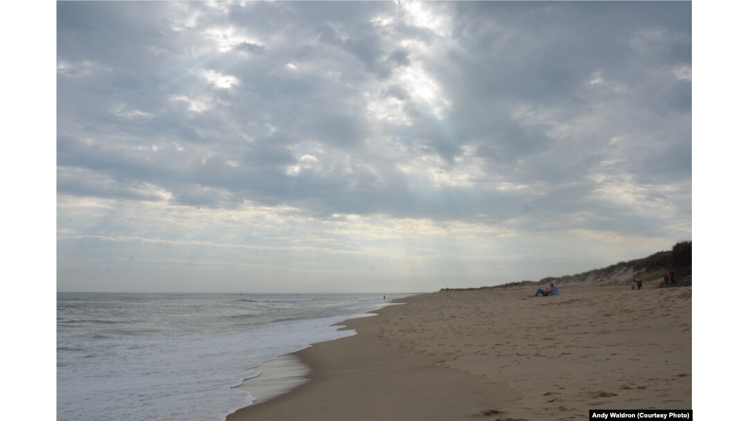 Six million tourists visit the charming peninsula of Cape Cod in the northeastern state of Massachusetts each year.