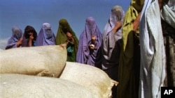 ملل متحد افزوده است که تخمین‌زده می‌شود که حدود ۱۵ میلیون نفر در زمستان امسال، بحران و سطوح اضطراری ناامنی غذایی را در افغانستان تجربه خواهند کرد.(عکس ارشیف).