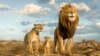 'Mufasa' and 'Sonic 3' rule first box office weekend of 2025