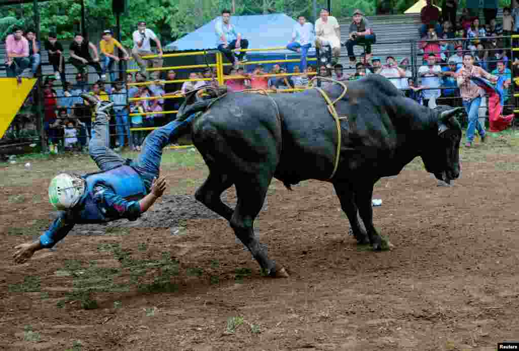 A bullfighter goes flying off the bull during a bull riding event in honour of the capital's patron saint Santo Domingo de Guzman, in Managua, Nicaragua, July 29, 2018.