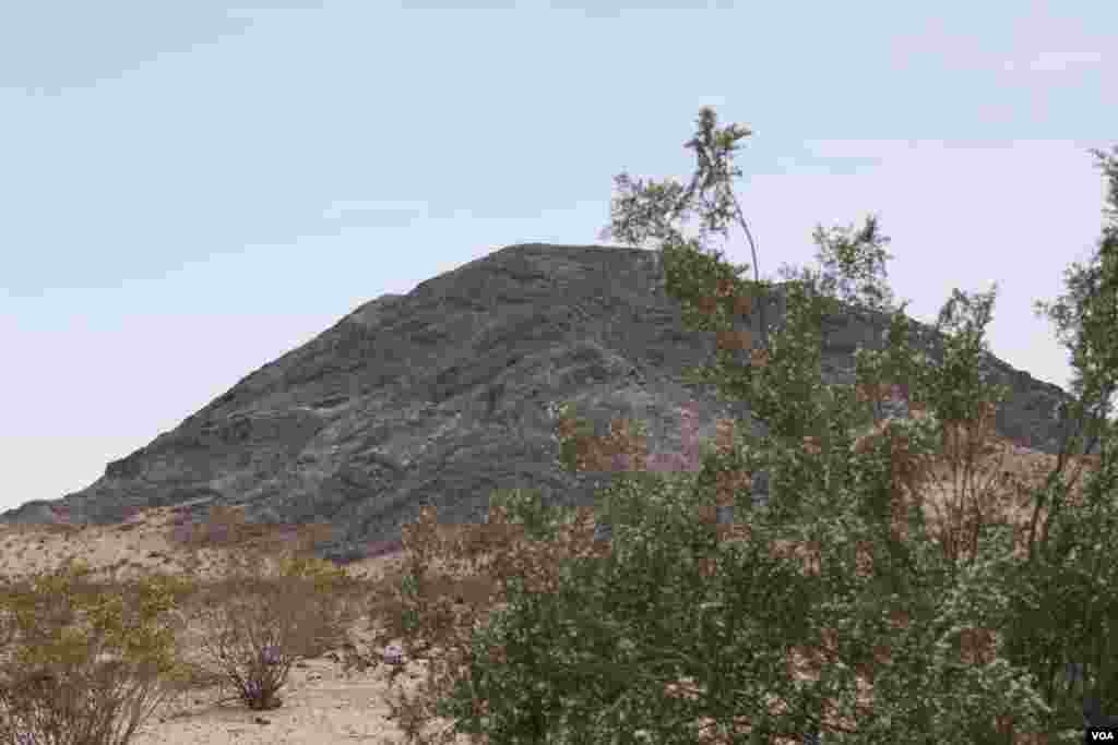 Moxave cho'lida joylashgan milliy park, Kaliforniya shtati