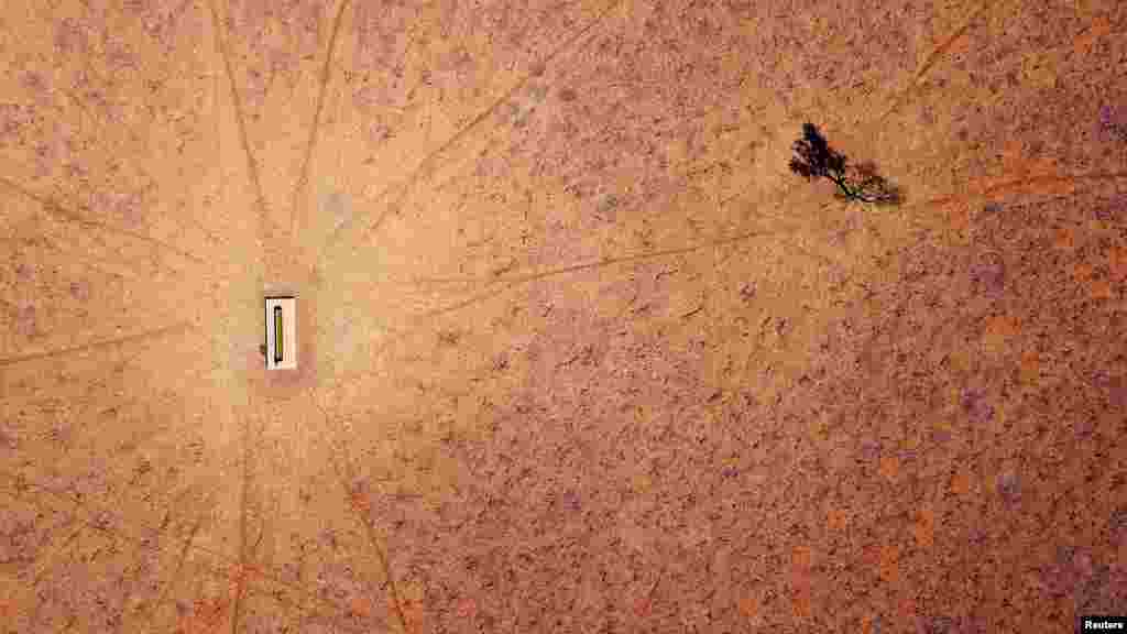 A lone tree stands near a water trough in a drought-effected paddock located on the outskirts of town of Walgett, in New South Wales, Australia.
