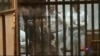 16x9 Image