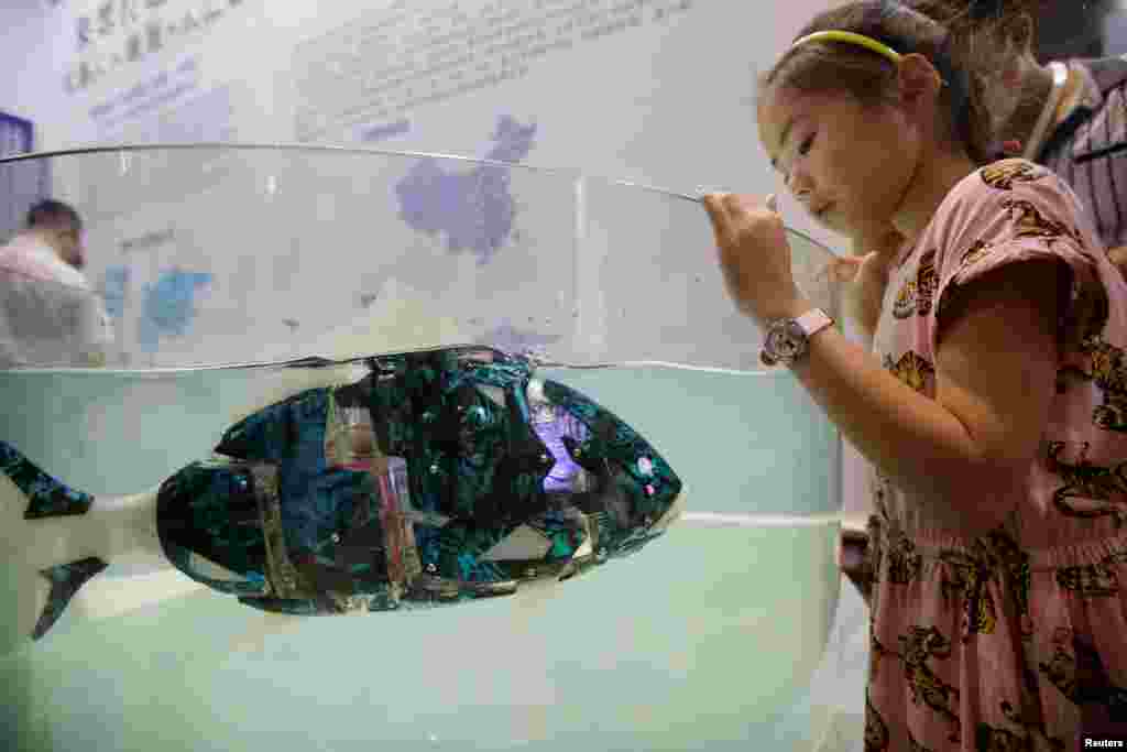 A girl looks at a robotic fish swimming in the water at the World Robot Conference (WRC) in Beijing, China.
