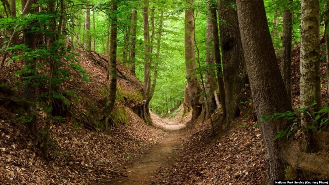 The 725-kilometer foot trail that became known as the Natchez Trace was a lifeline through the Old Southwest.