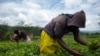 Rwanda Accused of Manipulating Poverty Statistics