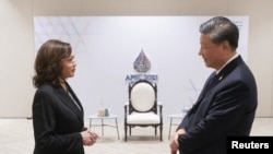 美国副总统卡玛拉·哈里斯（Kamala Harris）星期六（11月19日）在曼谷出席亚太经合组织（APEC）非正式领袖会议时与中国国家主席习近平举行了简短的会晤。